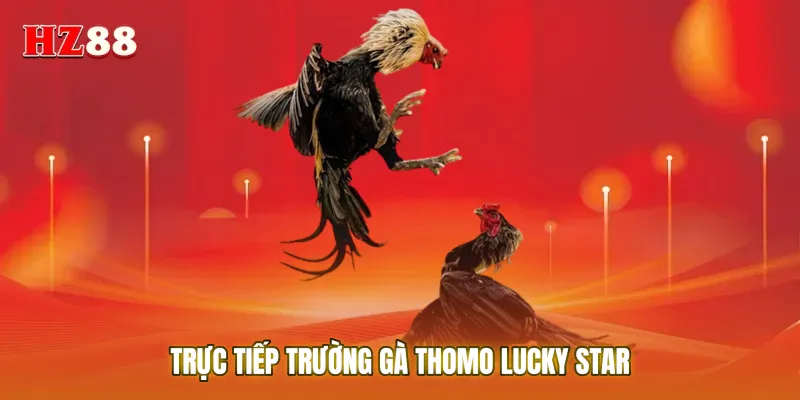 Trực tiếp trường gà Thomo Lucky Star